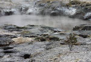 Thermal Activity - 2