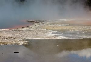 Thermal Activity -3