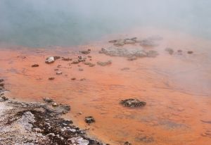 Thermal Activity -4