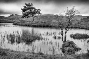 Kelly Hall Tarn