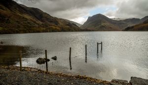 Buttermere Fence